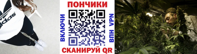 Купить наркоту Кировск Бошки Шишки  СК  ЭКСТАЗИ  Мефедрон 