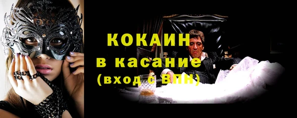 твердый Новодвинск