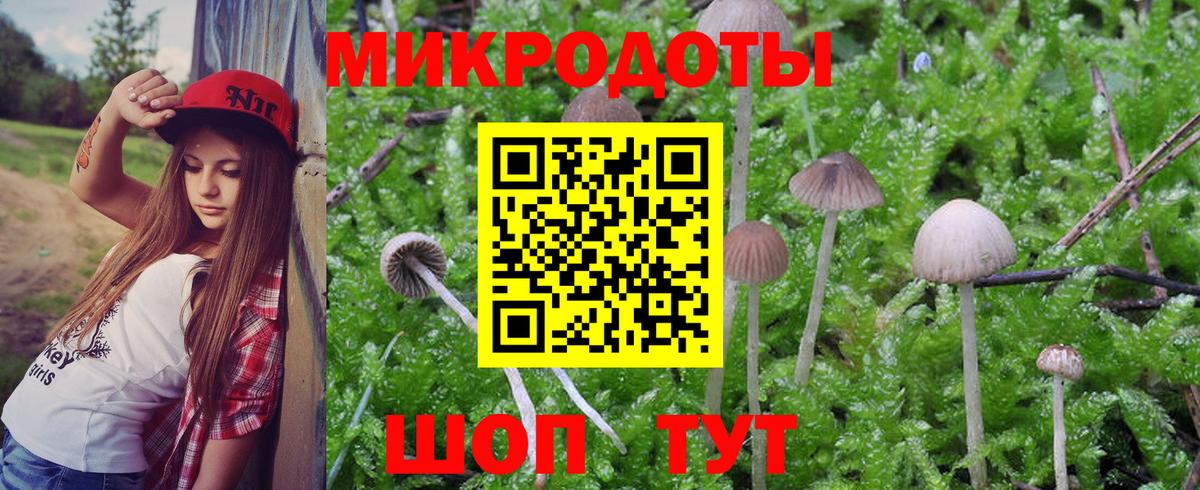 даркнет сайт  Кировск  Псилоцибиновые грибы прущие грибы  Галлюциногенные грибы MAGIC MUSHROOMS 