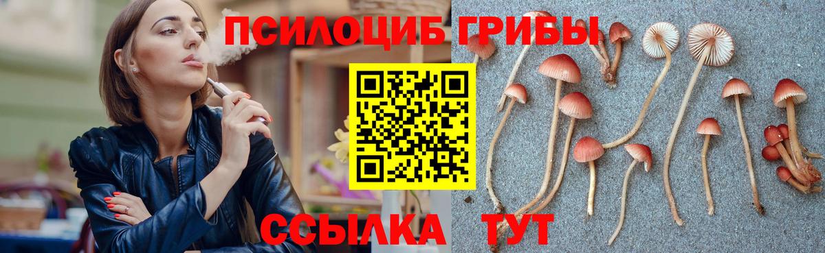 Кировск  Псилоцибиновые грибы мицелий  Вход с VPN 