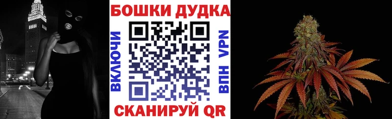 Канабис сатива  купить наркотик  Кировск 