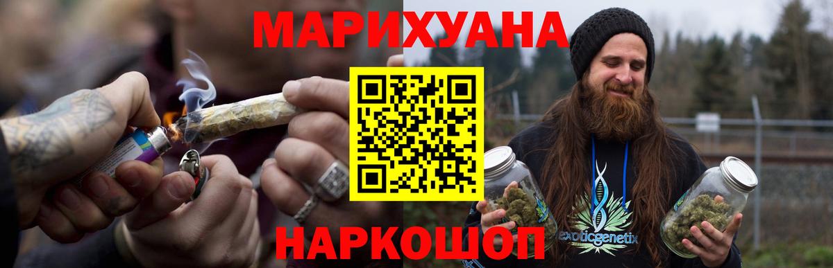 Конопля план Кировск